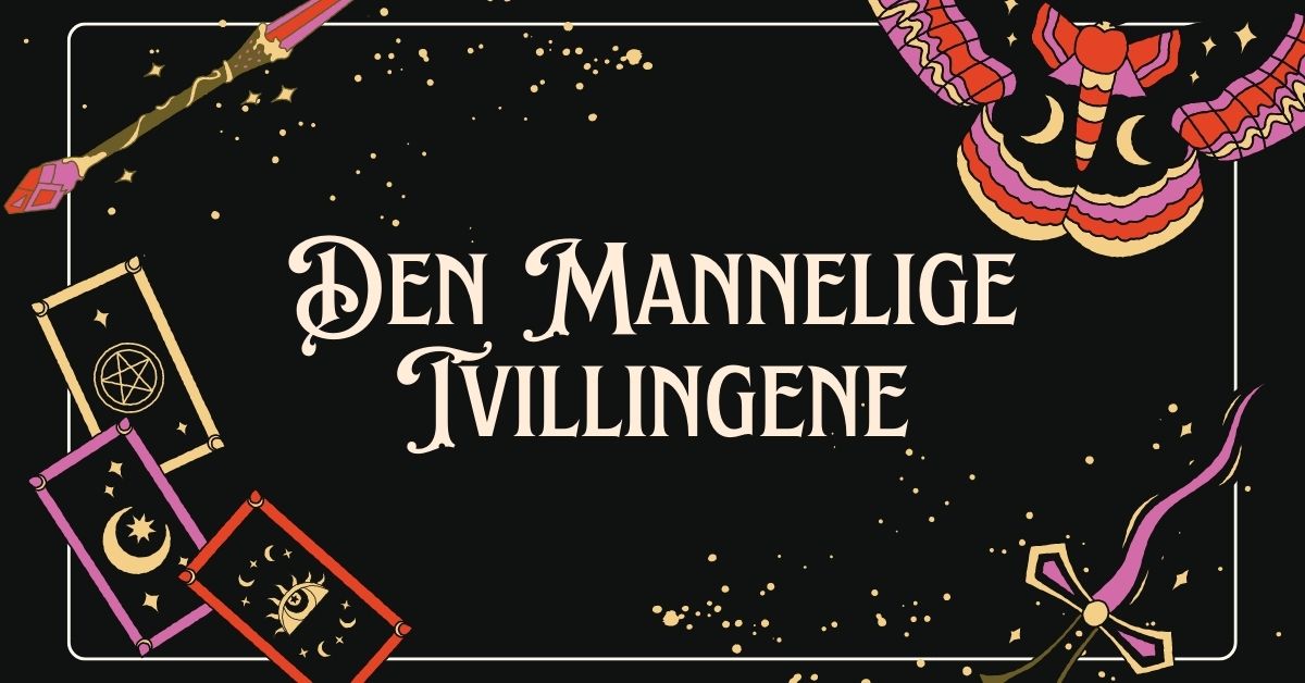 Mannlige Tvillingene